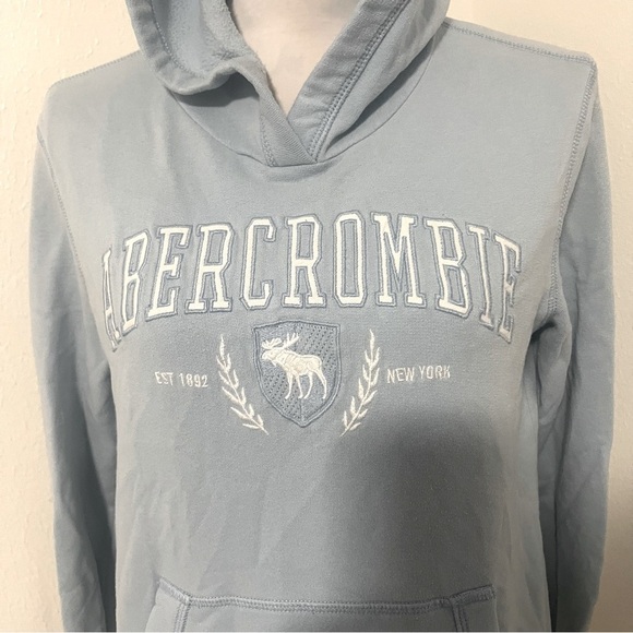 Abercrombie Kids Graphic Unisex Size (13/14) Sweatshirt with Hoodie Blue - Picture 1 of 12